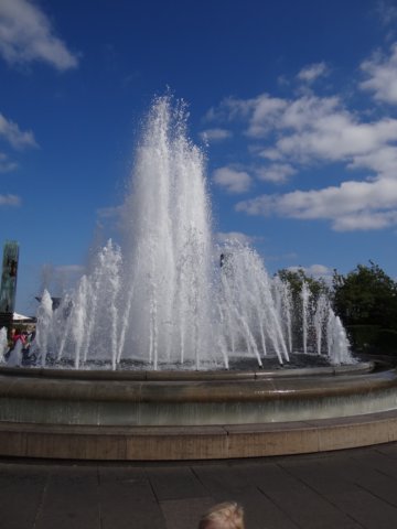 dsc04273.jpg