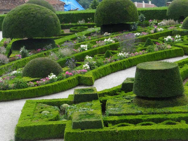 ennogeensbuxus.jpg