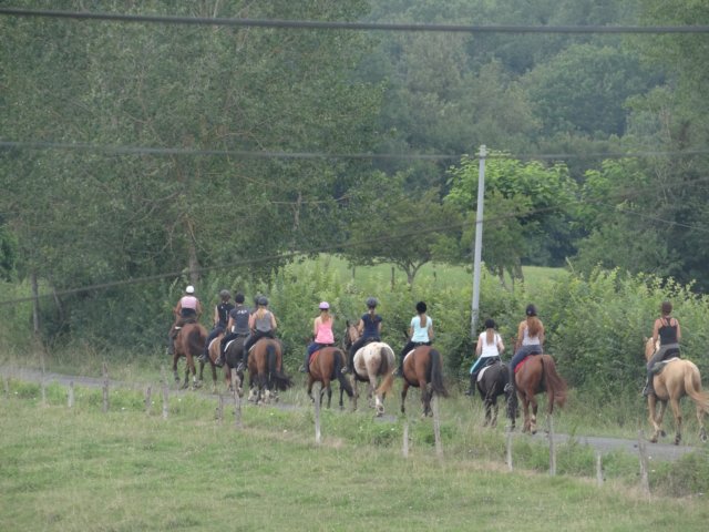 toevalligliependepaardenhetzelfderondje.jpg