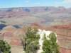 dag3grandcanyon2_small.jpg