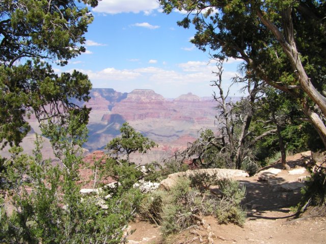 dag3grandcanyon7.jpg