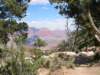 dag3grandcanyon7_small.jpg