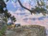 dag3grandcanyon9_small.jpg